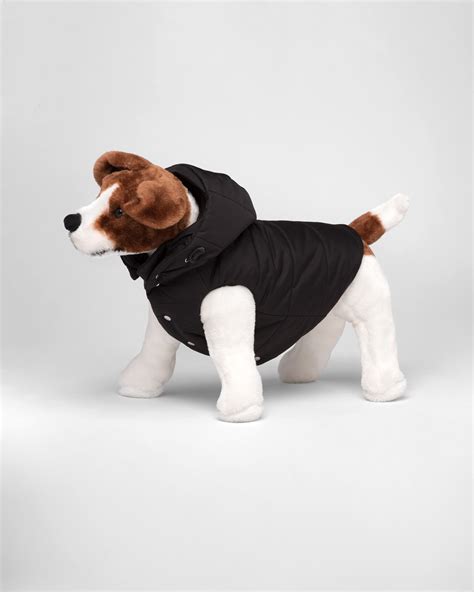 prada puffer jacket for dogs|prada puffer jacket price.